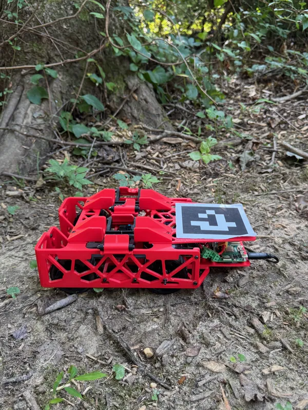 Forest floor, one of the six test surfaces (Figure 4 of our poster)